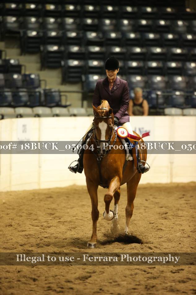 Proof Number 18BUCK_05004