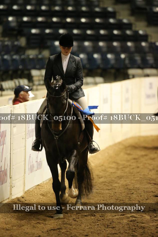Proof Number 18BUCK_05100