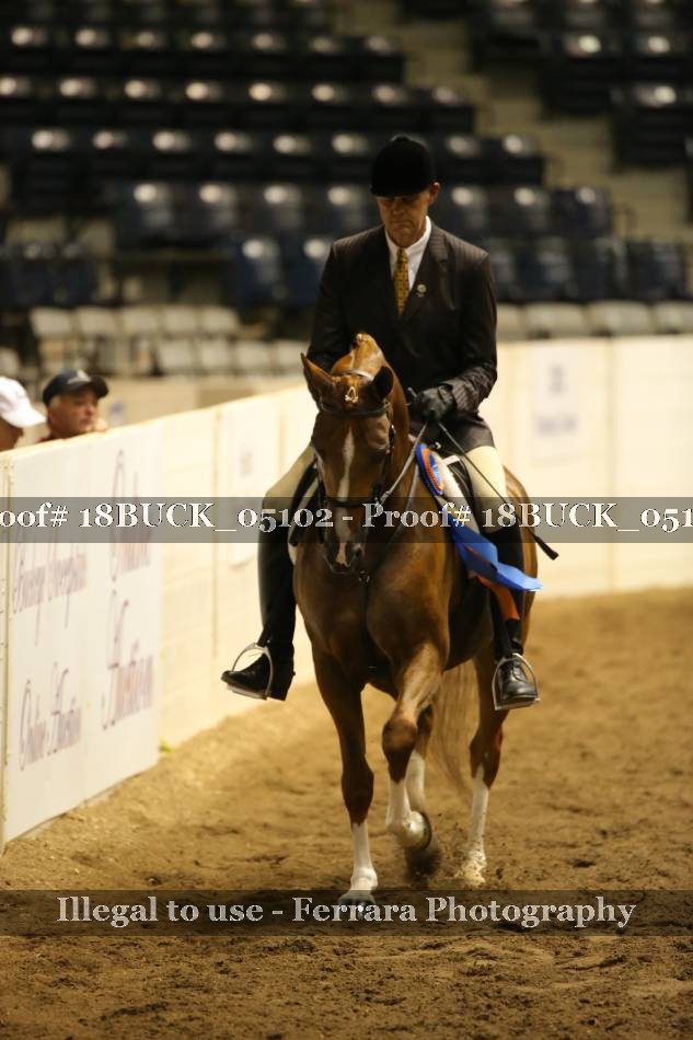 Proof Number 18BUCK_05102
