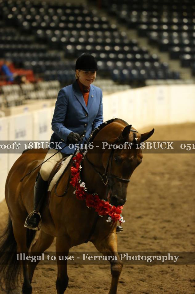 Proof Number 18BUCK_05116