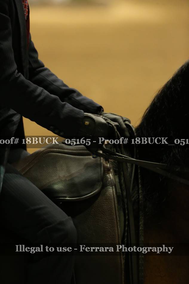Proof Number 18BUCK_05165