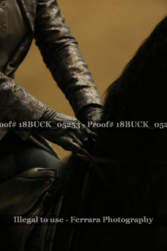 Proof Number 18BUCK_05253