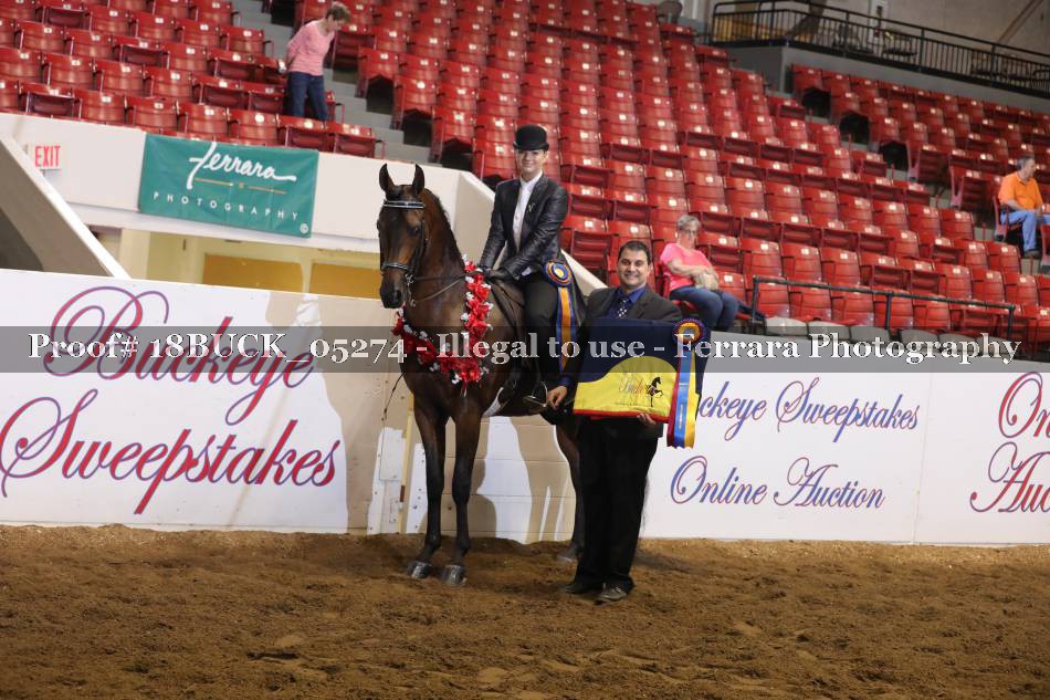 Proof Number 18BUCK_05274