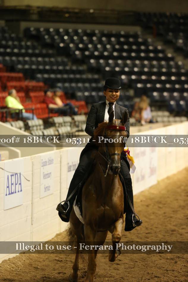 Proof Number 18BUCK_05311