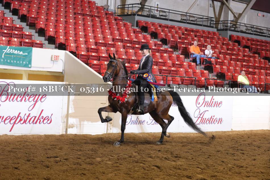 Proof Number 18BUCK_05316