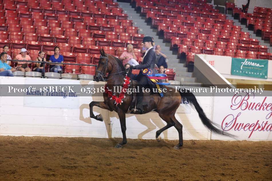 Proof Number 18BUCK_05318