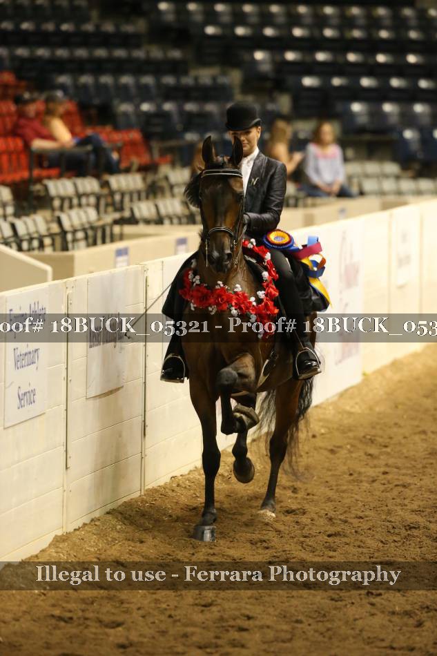 Proof Number 18BUCK_05321