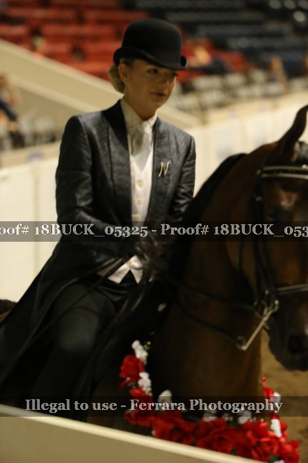 Proof Number 18BUCK_05325