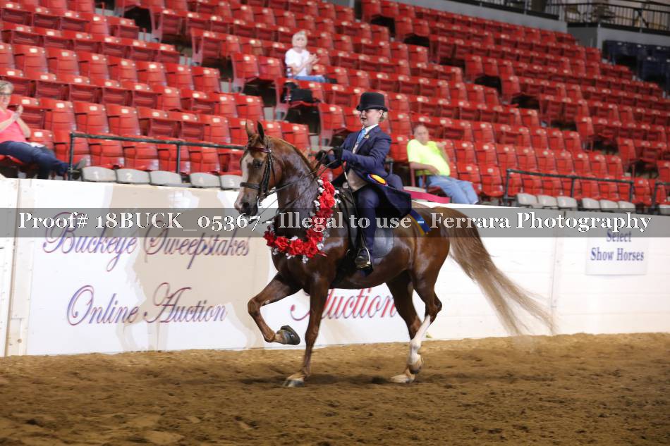 Proof Number 18BUCK_05367
