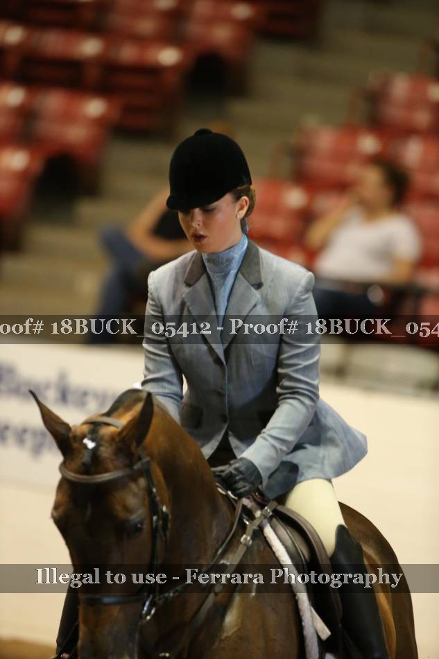 Proof Number 18BUCK_05412