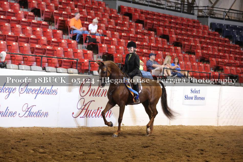 Proof Number 18BUCK_05424