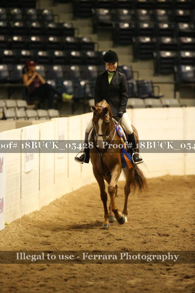 Proof Number 18BUCK_05428