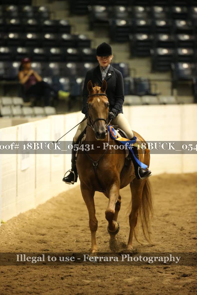 Proof Number 18BUCK_05431