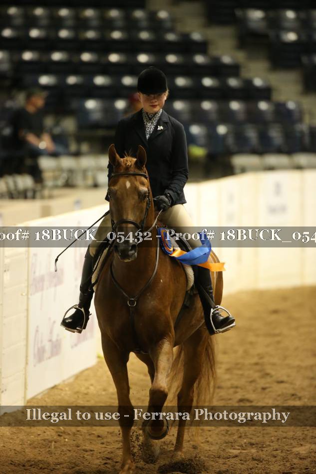 Proof Number 18BUCK_05432