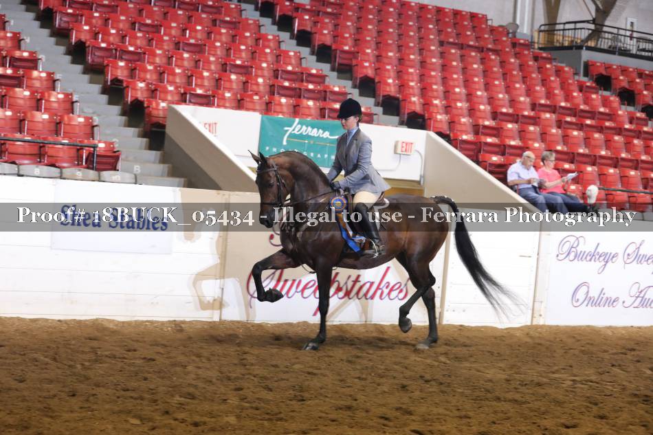 Proof Number 18BUCK_05434