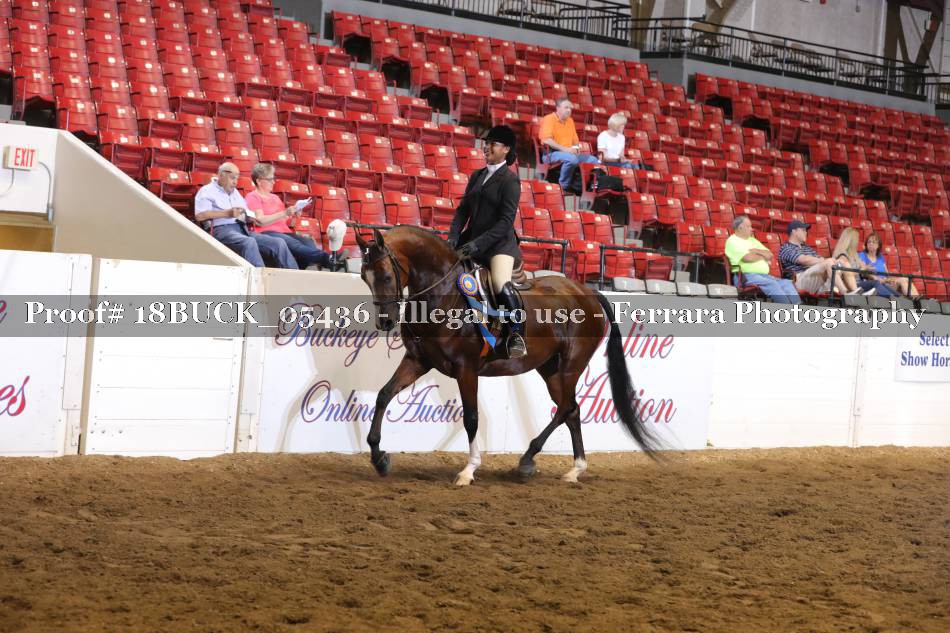 Proof Number 18BUCK_05436