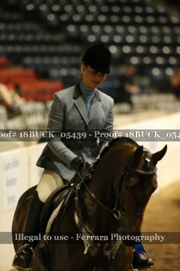 Proof Number 18BUCK_05439