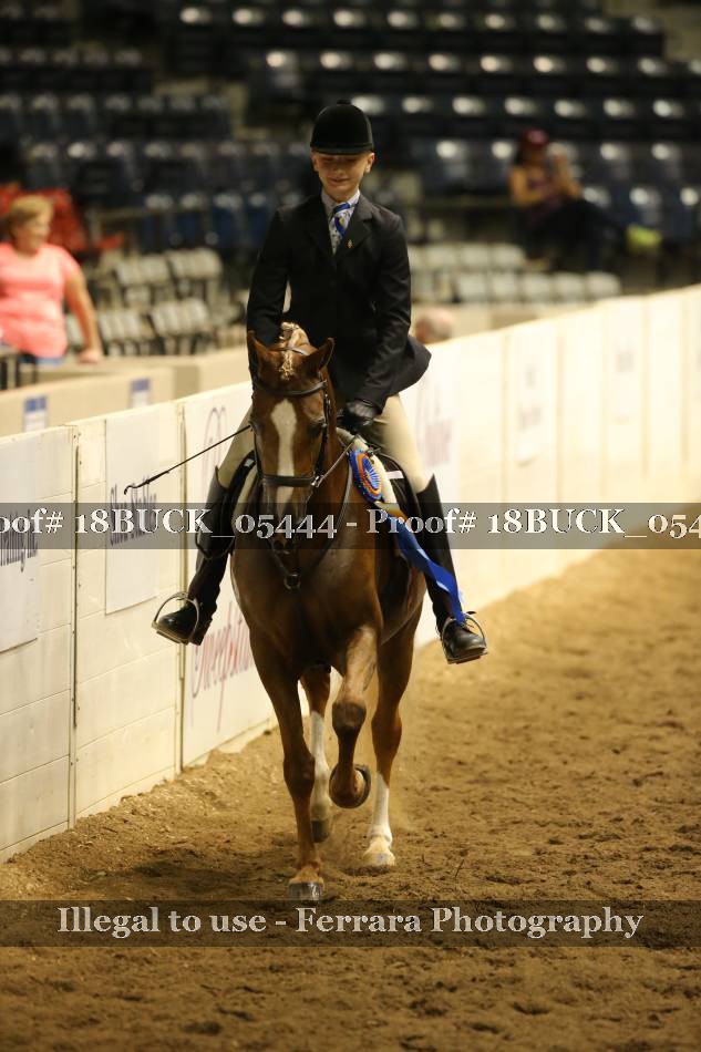 Proof Number 18BUCK_05444