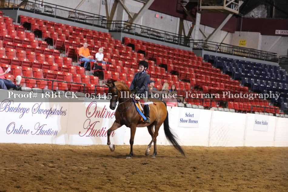 Proof Number 18BUCK_05445