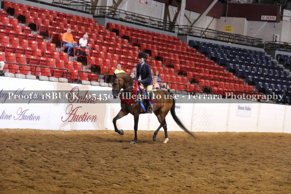 Proof Number 18BUCK_05450