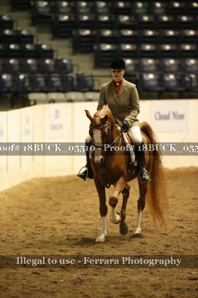 Proof Number 18BUCK_05510