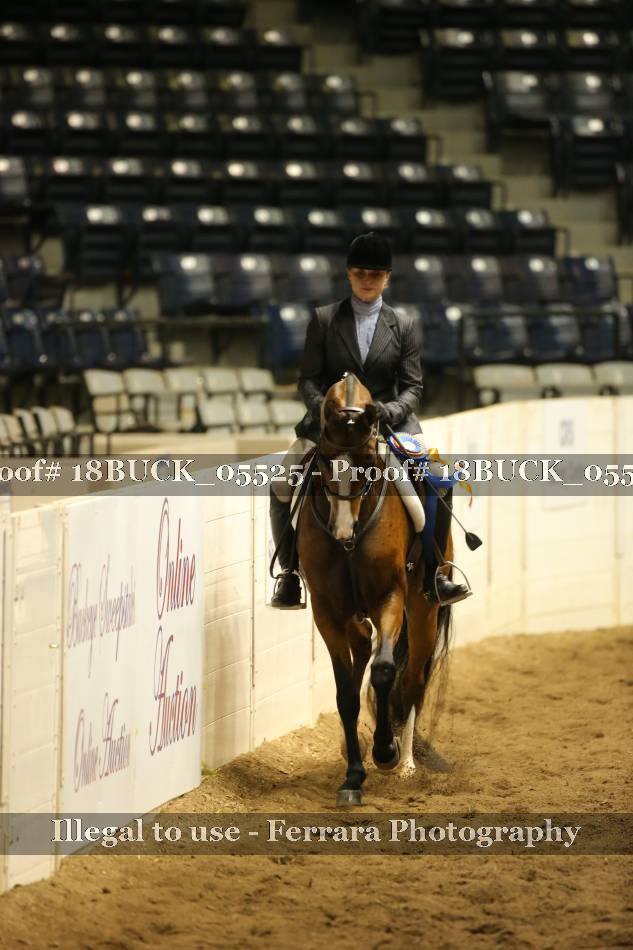Proof Number 18BUCK_05525