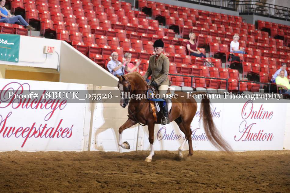 Proof Number 18BUCK_05526