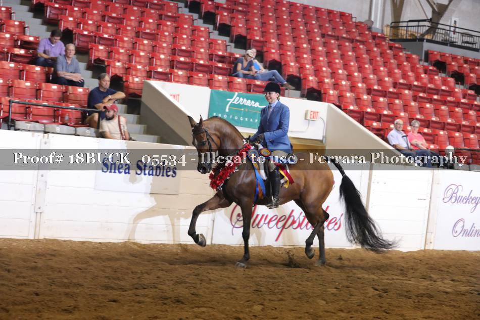 Proof Number 18BUCK_05534