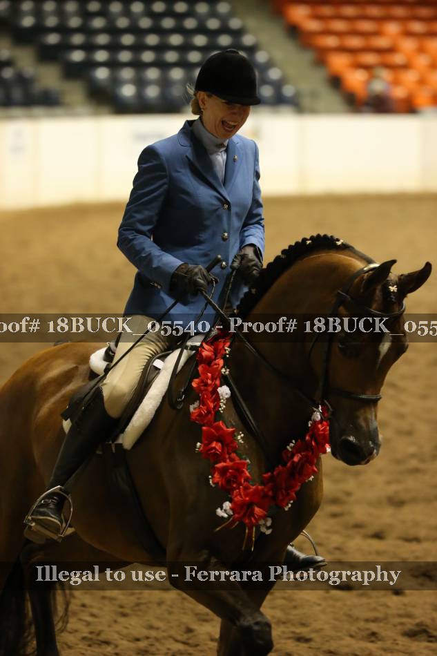 Proof Number 18BUCK_05540