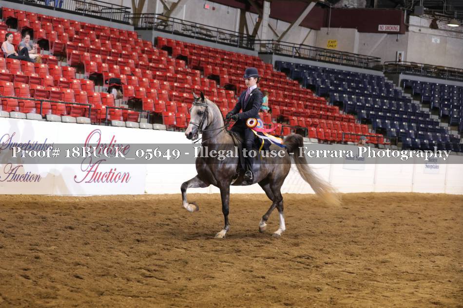 Proof Number 18BUCK_05649