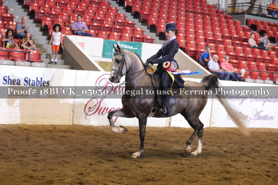 Proof Number 18BUCK_05650