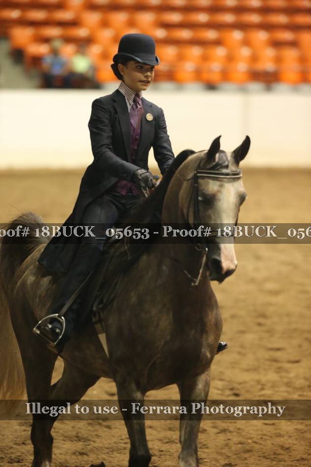 Proof Number 18BUCK_05653
