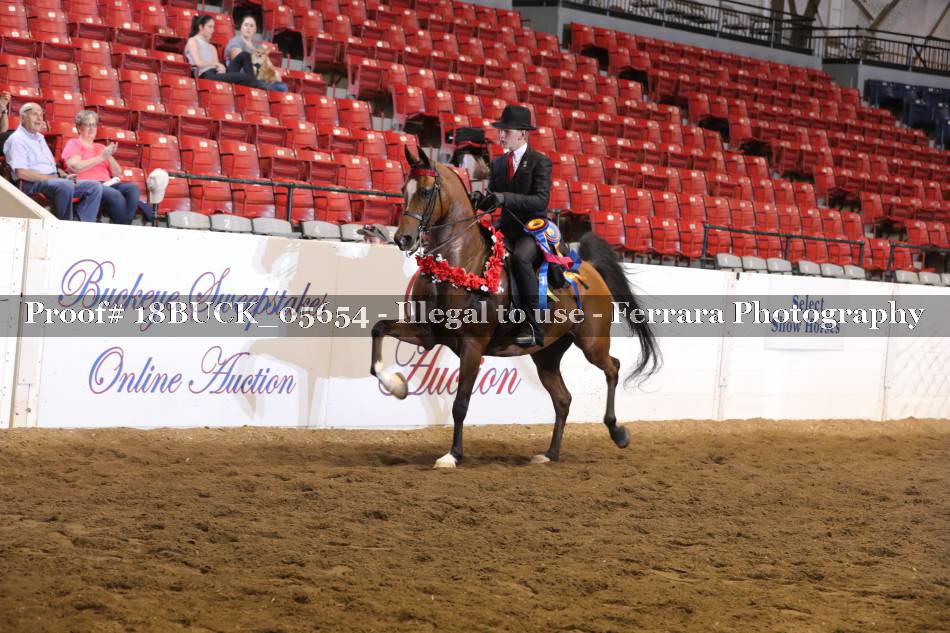 Proof Number 18BUCK_05654