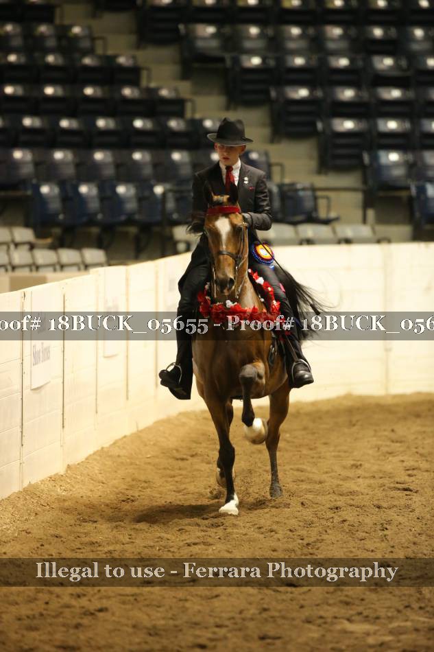 Proof Number 18BUCK_05655