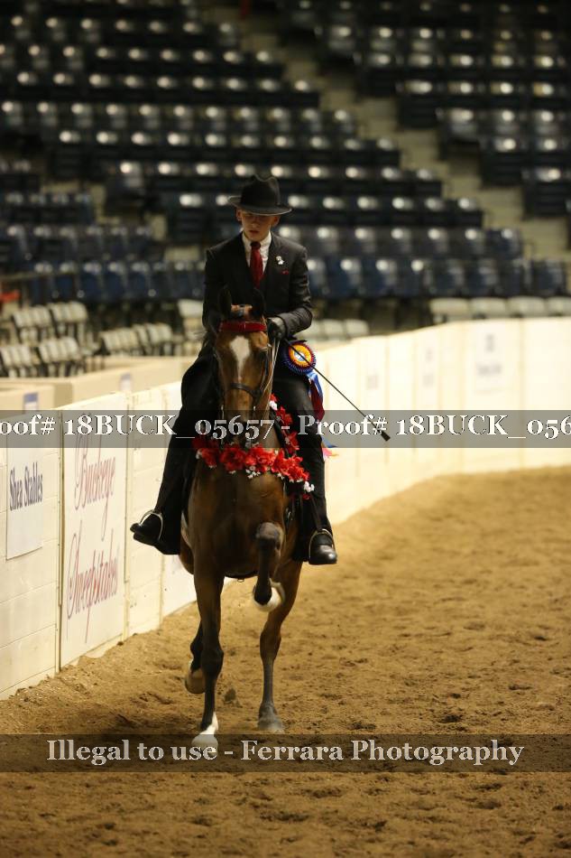Proof Number 18BUCK_05657