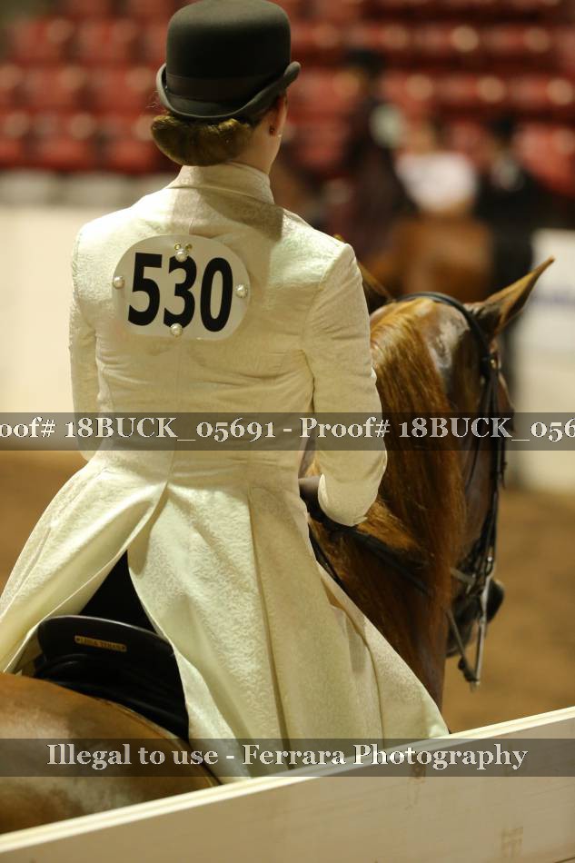 Proof Number 18BUCK_05691