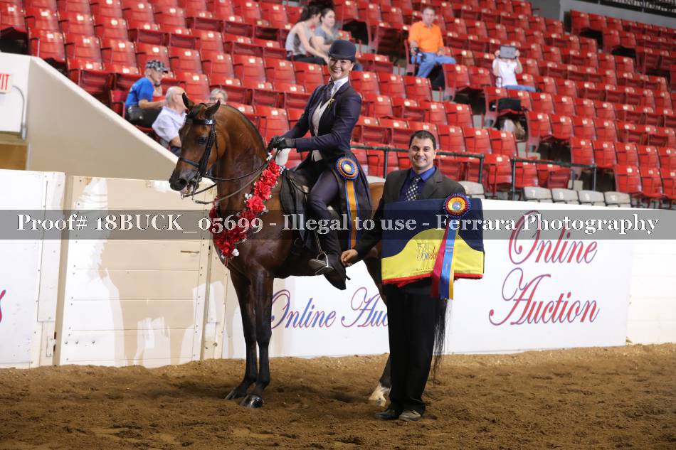 Proof Number 18BUCK_05699