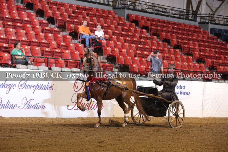 Proof Number 18BUCK_05780