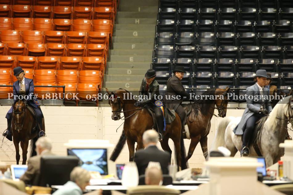Proof Number 18BUCK_05864