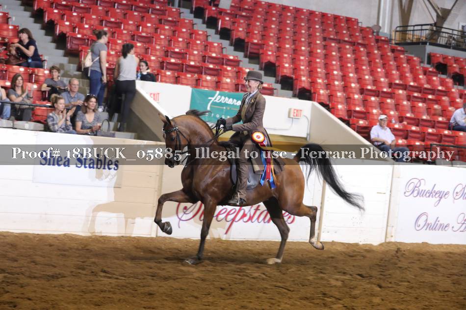 Proof Number 18BUCK_05885