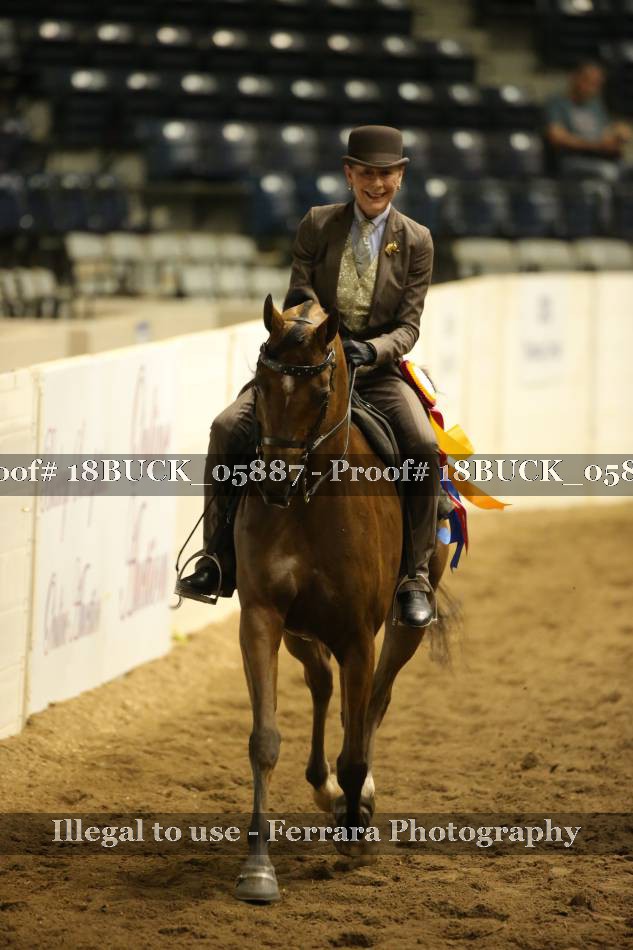 Proof Number 18BUCK_05887