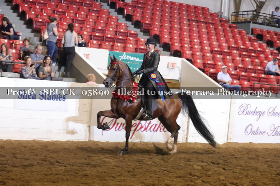 Proof Number 18BUCK_05890