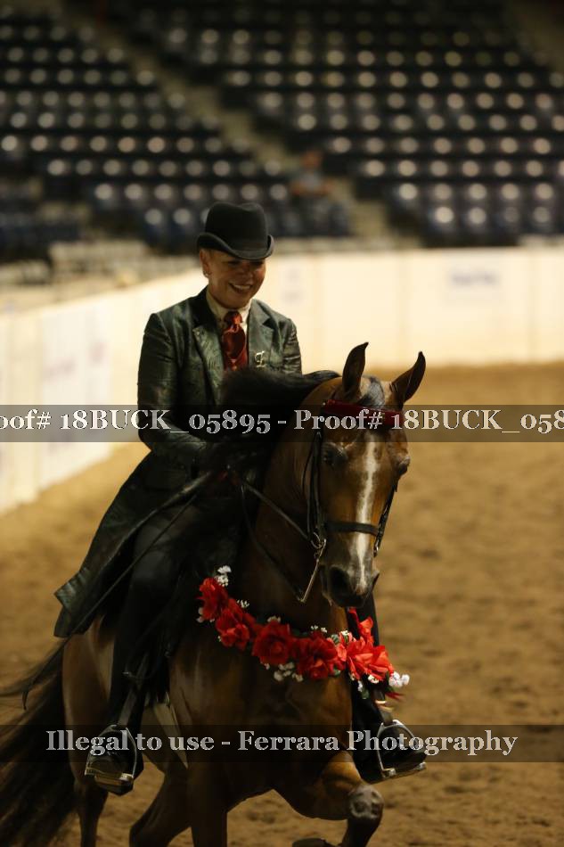 Proof Number 18BUCK_05895