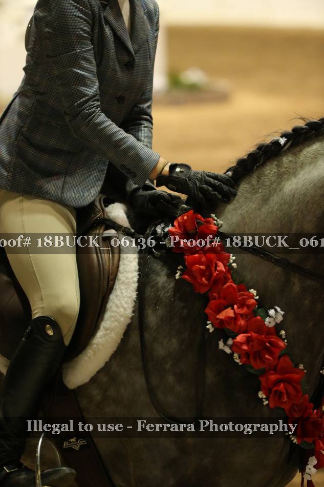 Proof Number 18BUCK_06136