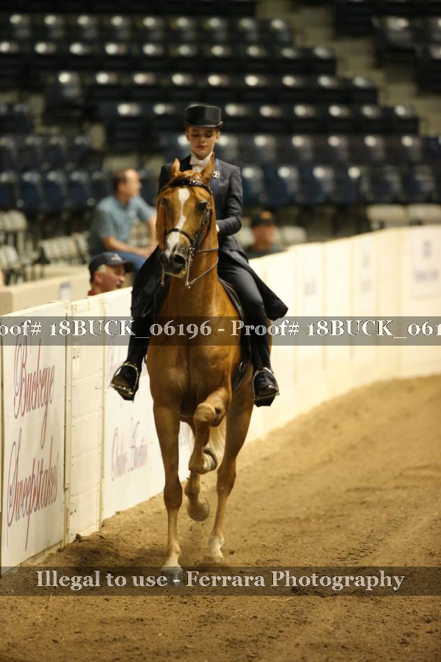 Proof Number 18BUCK_06196