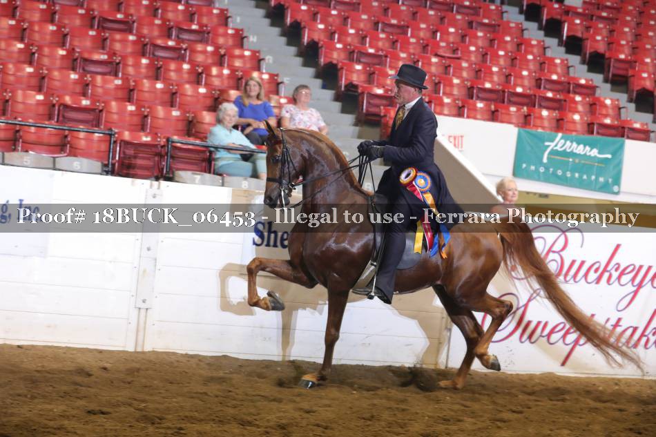 Proof Number 18BUCK_06453