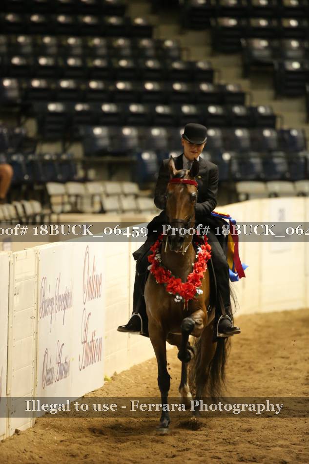 Proof Number 18BUCK_06459