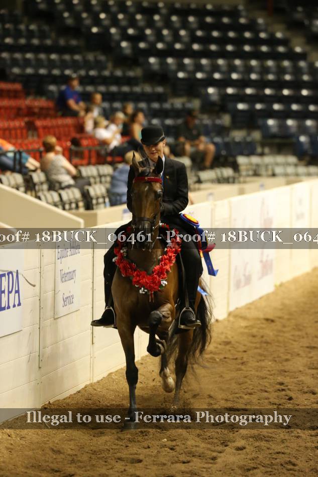 Proof Number 18BUCK_06461