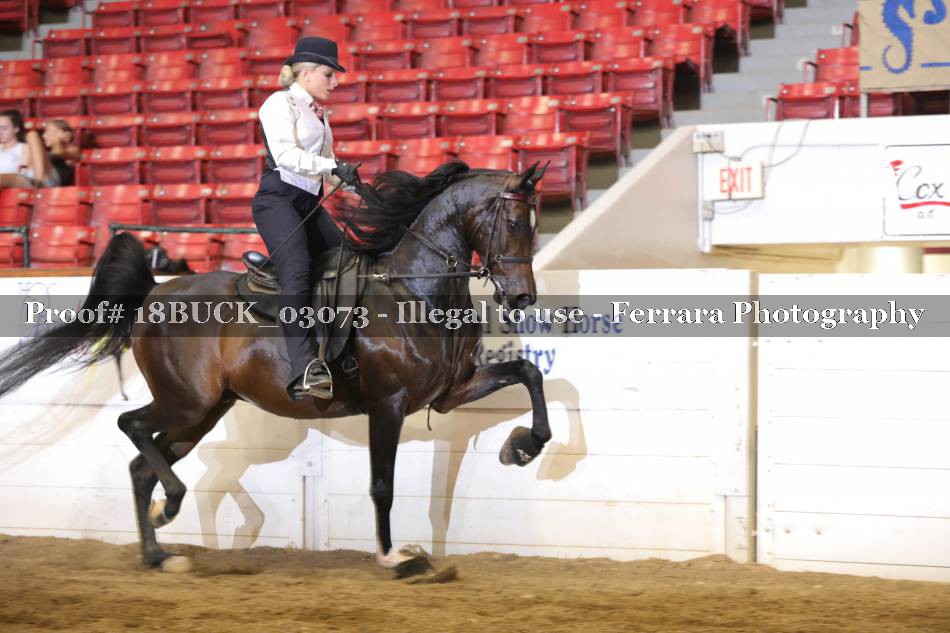 Proof Number 18BUCK_03073