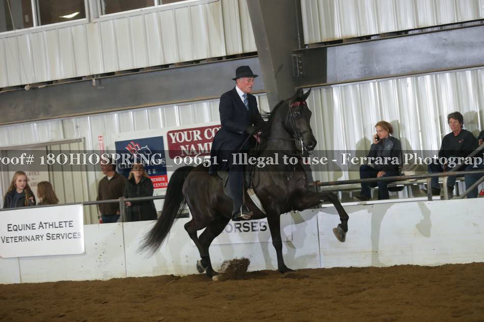 Proof Number 18OHIOSPRING_00651